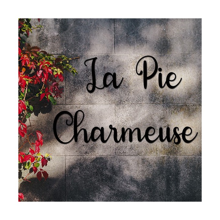 Caractères Morning Signature pour donner un nom à votre maison 120x60 mm 6 mm d'épaisseur