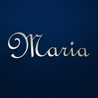 Caractères French Script en acier inox pour vos noms de maison ou de commerce 2 mm d'épaisseur