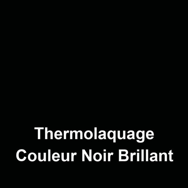 Thermolaquage Noir Brillant