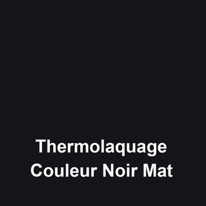 Thermolaquage Noir Mat