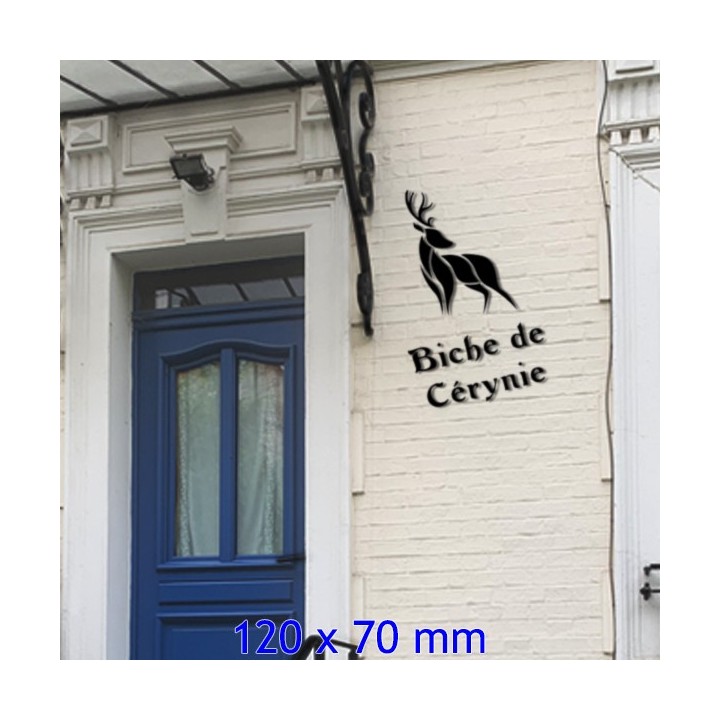 Lettres en Argos pour votre nom de maison avec des lettres hauteur 120 x 70 mm 6 mm d'épaisseur