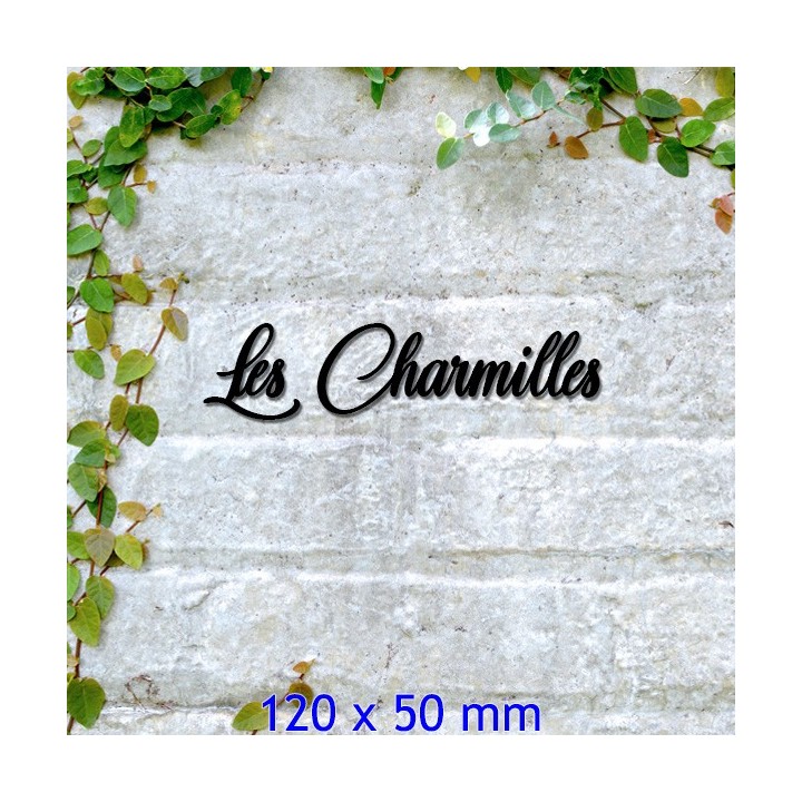 Caractères Château des Oliviers. Lettres hauteur 120 x 50 mm 6 mm d'épaisseur