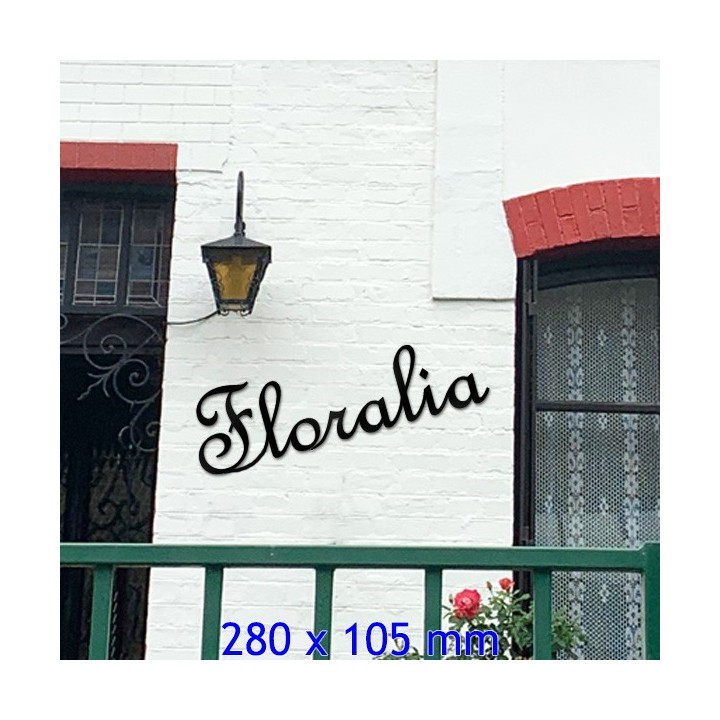 Caractères French Script en 280 x 105 mm 6 mm d'épaisseur