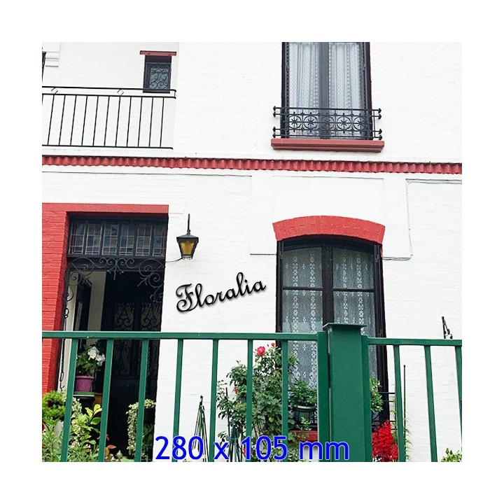 Caractères French Script en 280 x 105 mm 6 mm d'épaisseur