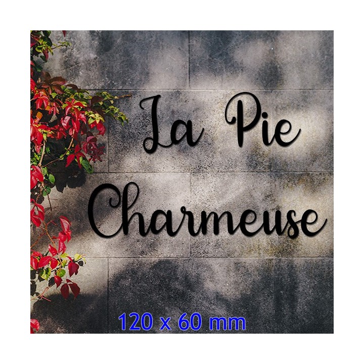 Caractères Morning Signature pour donner un nom à votre maison 120 x 60 mm 6 mm d'épaisseur