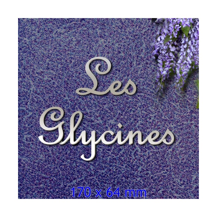 Caractères French Script en acier inox pour vos noms de maison ou de commerce 170 x 64 mm 2 mm d'épaisseur