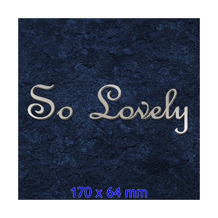 Caractères French Script en acier inox pour vos noms de maison ou de commerce 170 x 64 mm 2 mm d'épaisseur