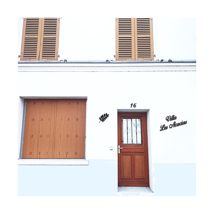 Belle cursive caractères Birds of Paradise pour nom de maison