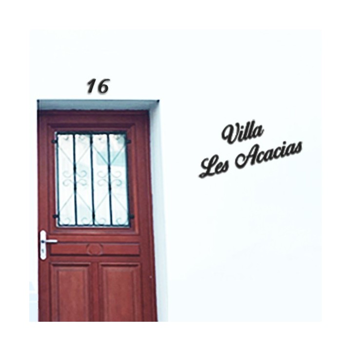 Belle cursive caractères Birds of Paradise pour nom de maison