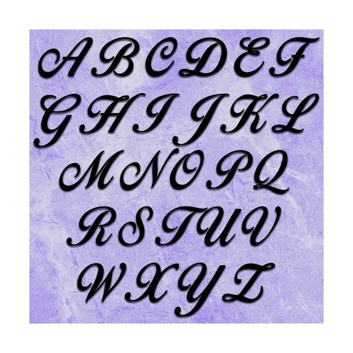 Belle cursive en majuscules caractères Birds of Paradise pour nom de maison