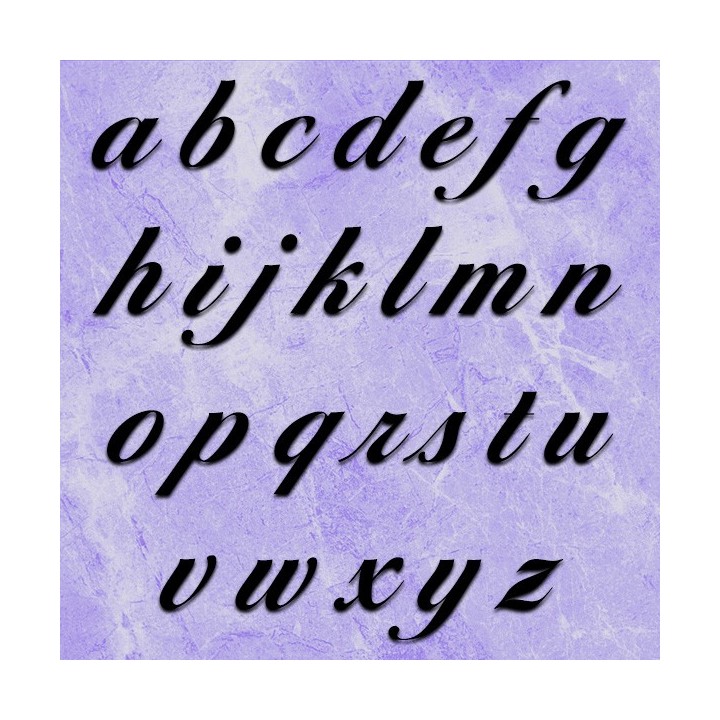 Belle cursive en minuscules caractères Birds of Paradise pour nom de maison