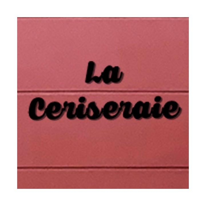 Caractère Caprica en acier découpé au laser hauteur 120 à 150 mm 6 mm d'épaisseur