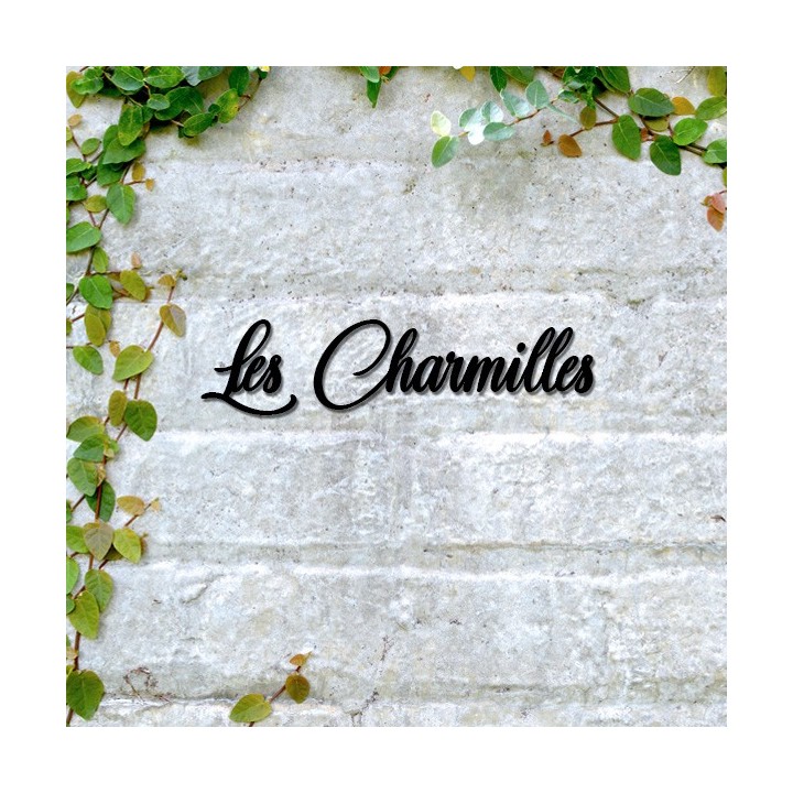 Caractères Château des Oliviers. Lettres hauteur 120 mm à 170 mm 6 mm d'épaisseur